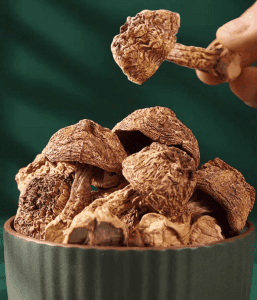 High-Altitude Organic Dried Matsutake （dry） - Image 3