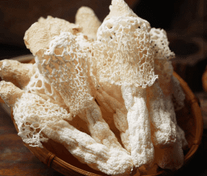 Wild Bamboo Mushrooms | Snow-White Skirts & Hollow Stems （dry） - Image 4