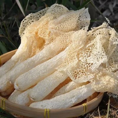 Wild Bamboo Mushrooms | Snow-White Skirts & Hollow Stems （dry）