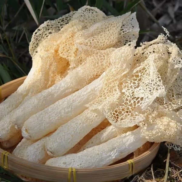 Wild Bamboo Mushrooms | Snow-White Skirts & Hollow Stems （dry）