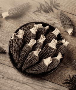 Wild High-Altitude Morels （dry） - Image 4