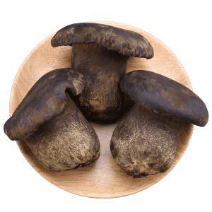 Wild Black Boletes（Dried） - Image 2