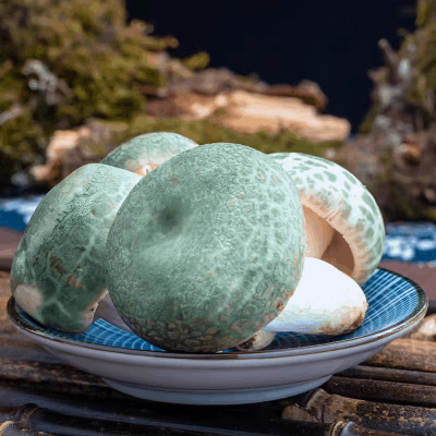 Wild Green-Headed Mushrooms (dry)